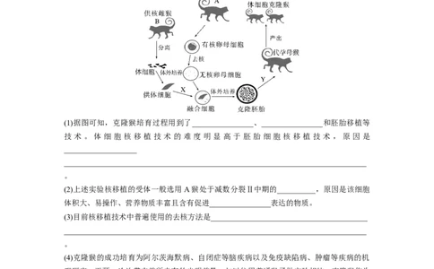 第10单元　课时练4　动物细胞工程_2024年新高考资料_1.2024一轮复习_2024年高考生物一轮复习讲义（新人教版）_学生版在此文件夹_一轮复习69练_第十单元　生物技术与工程