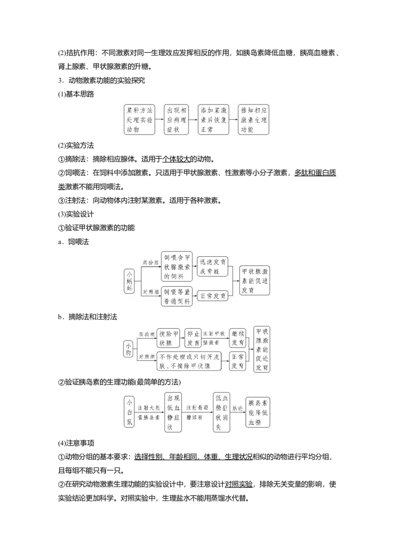 2023年高考生物一轮复习（全国版）第8单元第4课时　激素与内分泌系统、激素调节的过程_通用版（老高考）复习资料_2023年复习资料_一轮复习_2023年高考生物一轮复习讲义+课件（全国版）