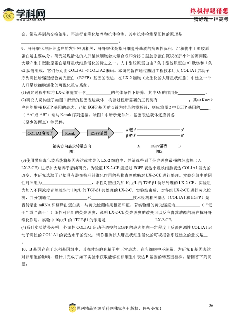 生物-2024年高考终极押题猜想（原卷版）_2024年新高考资料_5.2024三轮冲刺_生物-2024年高考终极押题猜想