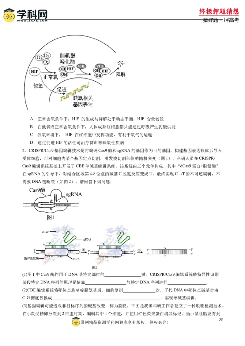 生物-2024年高考终极押题猜想（原卷版）_2024年新高考资料_5.2024三轮冲刺_生物-2024年高考终极押题猜想
