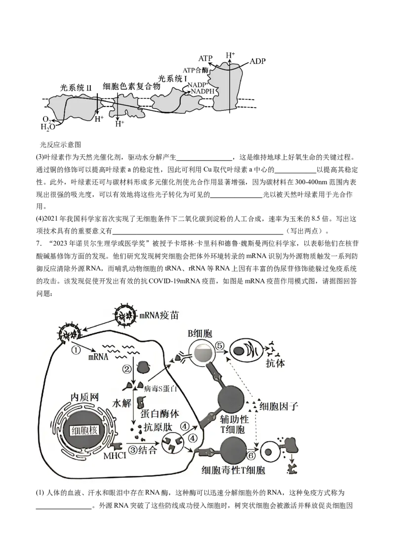 生物-2024年高考终极押题猜想（原卷版）_2024年新高考资料_5.2024三轮冲刺_生物-2024年高考终极押题猜想