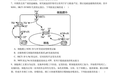 生物-2024年高考终极押题猜想（原卷版）_2024年新高考资料_5.2024三轮冲刺_生物-2024年高考终极押题猜想