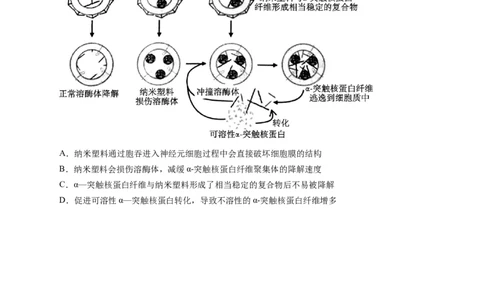 生物-2024年高考终极押题猜想（原卷版）_2024年新高考资料_5.2024三轮冲刺_生物-2024年高考终极押题猜想