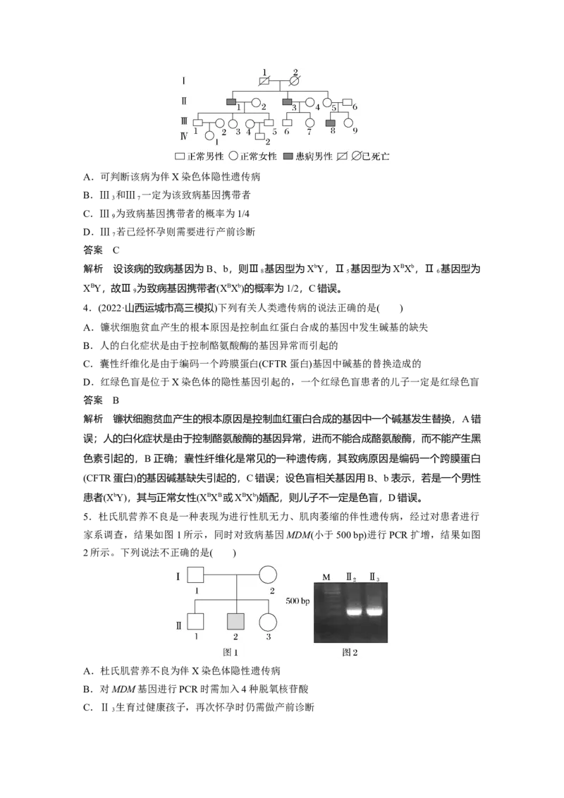 2023年高考生物一轮复习（新人教新高考）第5单元第6课时　伴性遗传的特点与应用及人类遗传病_新高考复习资料_2023年新高考复习资料_一轮复习_2023年新高考大一轮复习讲义