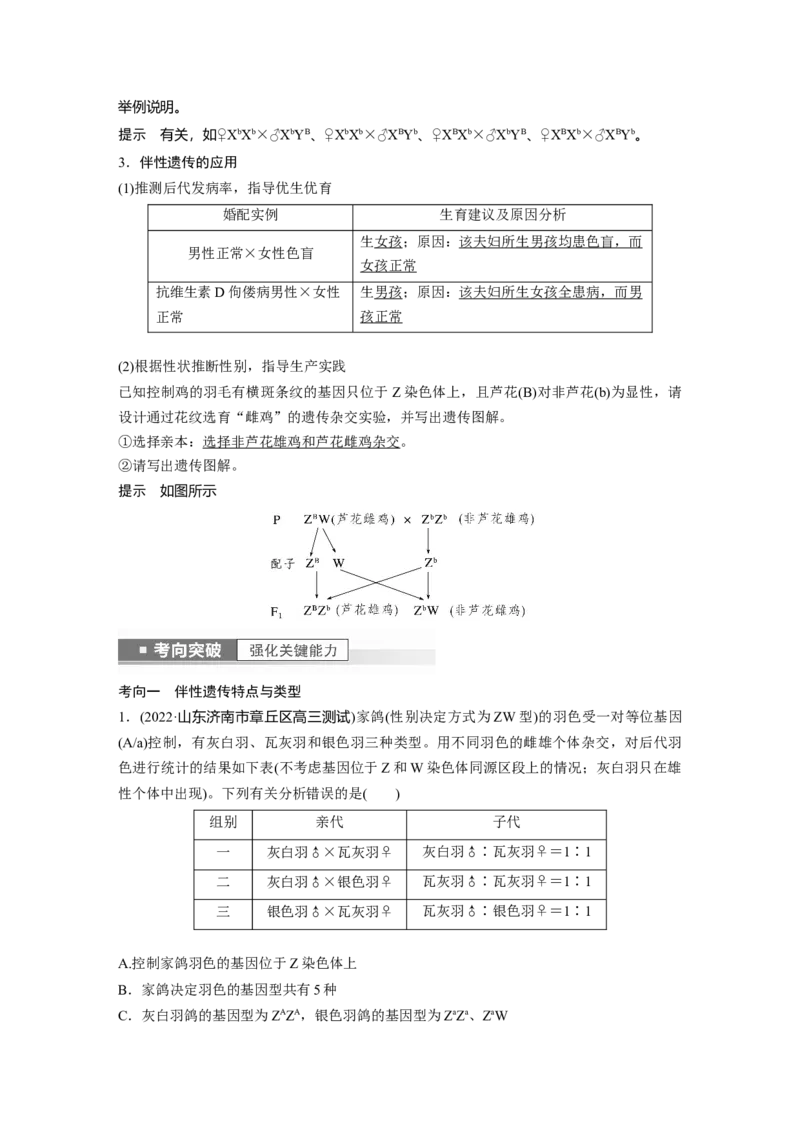 2023年高考生物一轮复习（新人教新高考）第5单元第6课时　伴性遗传的特点与应用及人类遗传病_新高考复习资料_2023年新高考复习资料_一轮复习_2023年新高考大一轮复习讲义