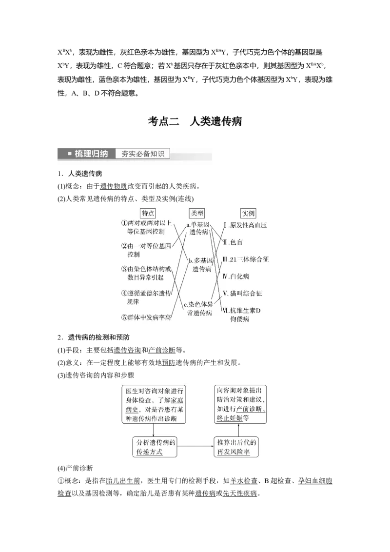 2023年高考生物一轮复习（新人教新高考）第5单元第6课时　伴性遗传的特点与应用及人类遗传病_新高考复习资料_2023年新高考复习资料_一轮复习_2023年新高考大一轮复习讲义