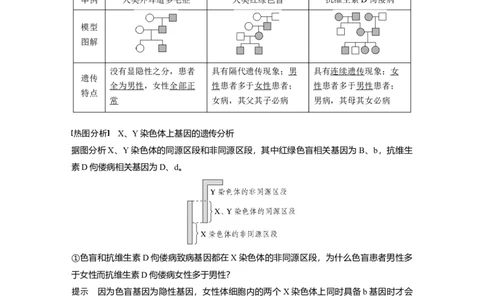 2023年高考生物一轮复习（新人教新高考）第5单元第6课时　伴性遗传的特点与应用及人类遗传病_新高考复习资料_2023年新高考复习资料_一轮复习_2023年新高考大一轮复习讲义