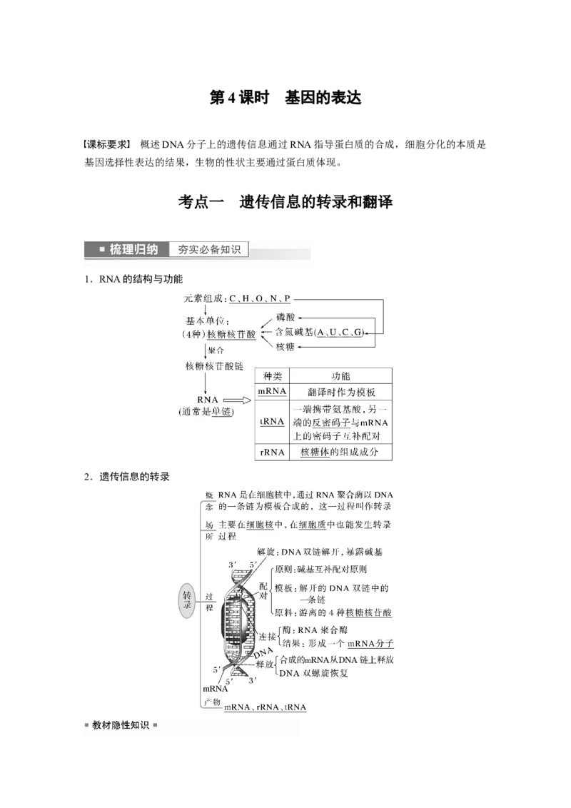 2023年高考生物一轮复习（新人教新高考）第6单元第4课时　基因的表达_新高考复习资料_2023年新高考复习资料_一轮复习_2023年新高考大一轮复习讲义