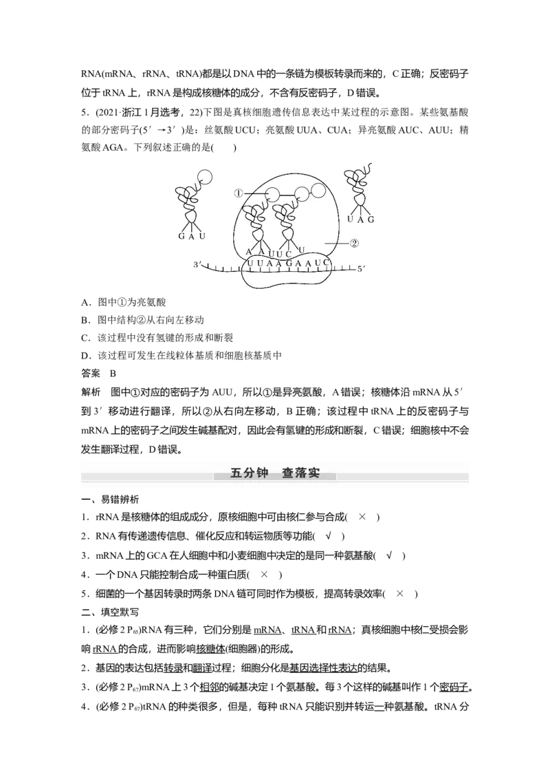 2023年高考生物一轮复习（新人教新高考）第6单元第4课时　基因的表达_新高考复习资料_2023年新高考复习资料_一轮复习_2023年新高考大一轮复习讲义