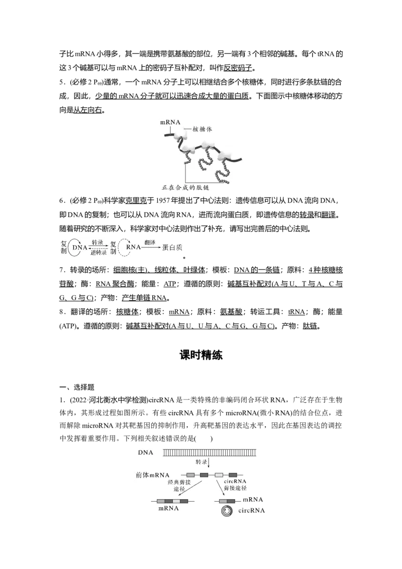 2023年高考生物一轮复习（新人教新高考）第6单元第4课时　基因的表达_新高考复习资料_2023年新高考复习资料_一轮复习_2023年新高考大一轮复习讲义