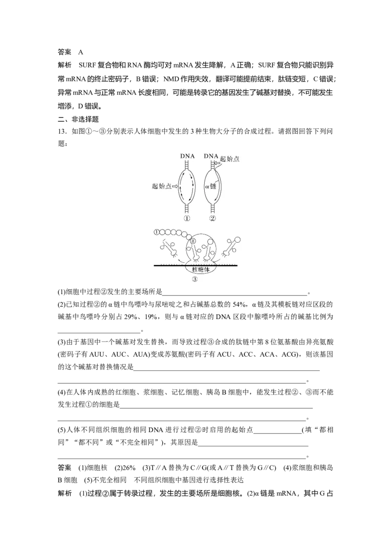 2023年高考生物一轮复习（新人教新高考）第6单元第4课时　基因的表达_新高考复习资料_2023年新高考复习资料_一轮复习_2023年新高考大一轮复习讲义