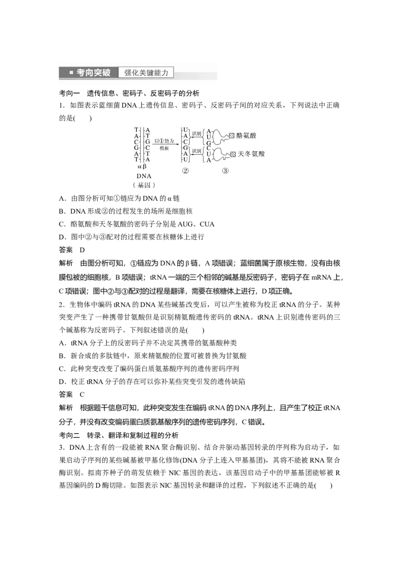 2023年高考生物一轮复习（新人教新高考）第6单元第4课时　基因的表达_新高考复习资料_2023年新高考复习资料_一轮复习_2023年新高考大一轮复习讲义