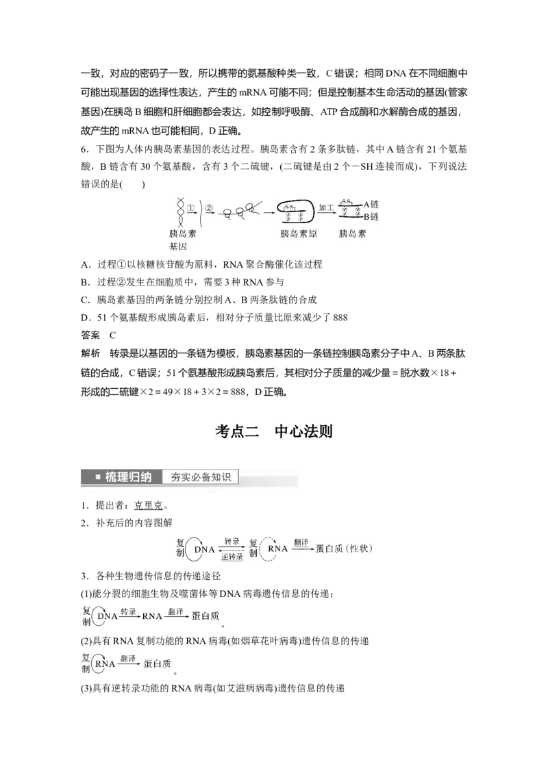 2023年高考生物一轮复习（新人教新高考）第6单元第4课时　基因的表达_新高考复习资料_2023年新高考复习资料_一轮复习_2023年新高考大一轮复习讲义