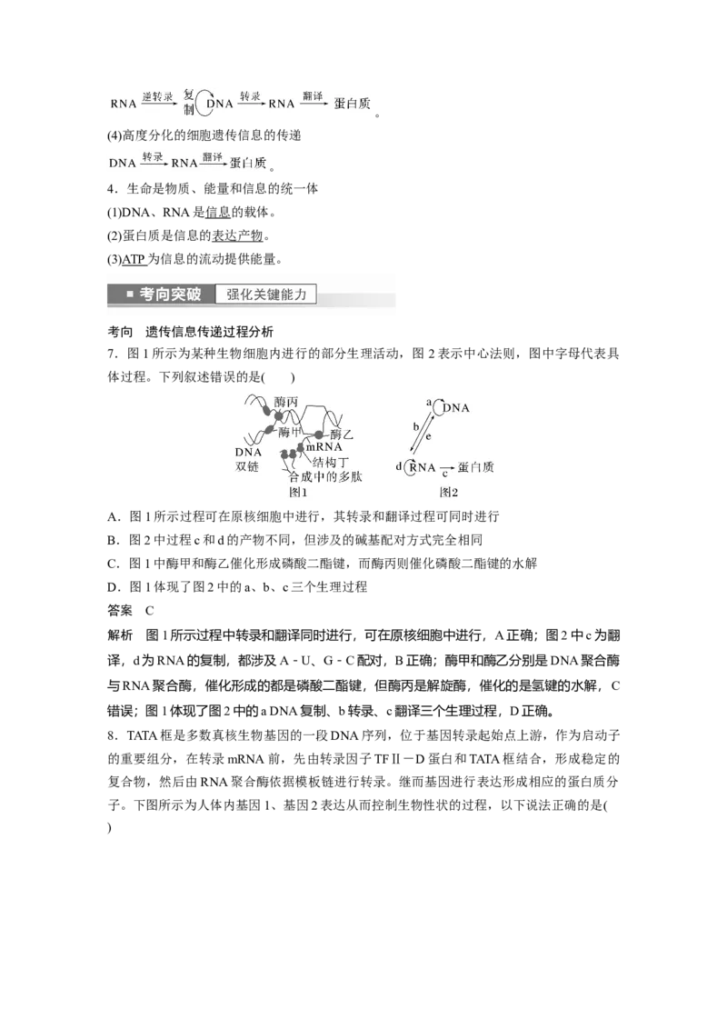 2023年高考生物一轮复习（新人教新高考）第6单元第4课时　基因的表达_新高考复习资料_2023年新高考复习资料_一轮复习_2023年新高考大一轮复习讲义