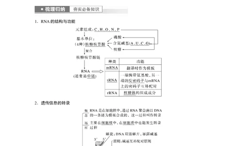 2023年高考生物一轮复习（新人教新高考）第6单元第4课时　基因的表达_新高考复习资料_2023年新高考复习资料_一轮复习_2023年新高考大一轮复习讲义