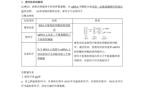 2023年高考生物一轮复习（新人教新高考）第6单元第4课时　基因的表达_新高考复习资料_2023年新高考复习资料_一轮复习_2023年新高考大一轮复习讲义