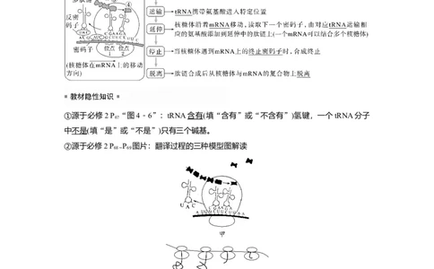 2023年高考生物一轮复习（新人教新高考）第6单元第4课时　基因的表达_新高考复习资料_2023年新高考复习资料_一轮复习_2023年新高考大一轮复习讲义
