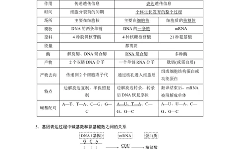 2023年高考生物一轮复习（新人教新高考）第6单元第4课时　基因的表达_新高考复习资料_2023年新高考复习资料_一轮复习_2023年新高考大一轮复习讲义