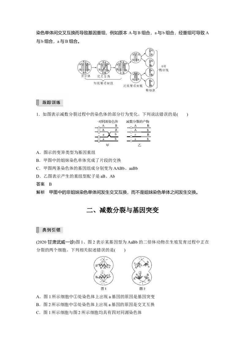 2022年高考生物一轮复习第4单元第12讲　热点题型二　减数分裂与可遗传变异的关系分析_新高考复习资料_2022年新高考复习资料_2022年一轮复习最新版
