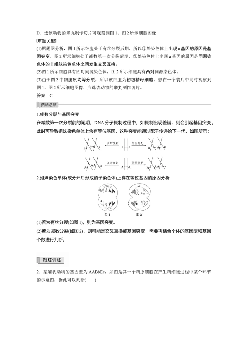 2022年高考生物一轮复习第4单元第12讲　热点题型二　减数分裂与可遗传变异的关系分析_新高考复习资料_2022年新高考复习资料_2022年一轮复习最新版
