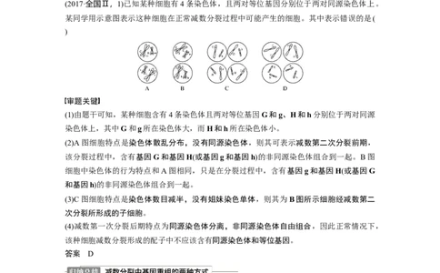 2022年高考生物一轮复习第4单元第12讲　热点题型二　减数分裂与可遗传变异的关系分析_新高考复习资料_2022年新高考复习资料_2022年一轮复习最新版
