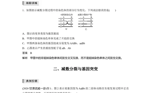2022年高考生物一轮复习第4单元第12讲　热点题型二　减数分裂与可遗传变异的关系分析_新高考复习资料_2022年新高考复习资料_2022年一轮复习最新版