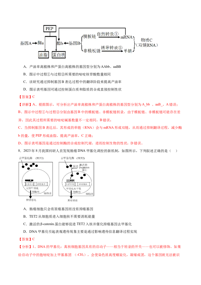 第09讲遗传的分子基础（练习）（解析版）_2024年新高考资料_2.2024二轮复习_2024年高考生物二轮复习讲练测（新教材新高考）