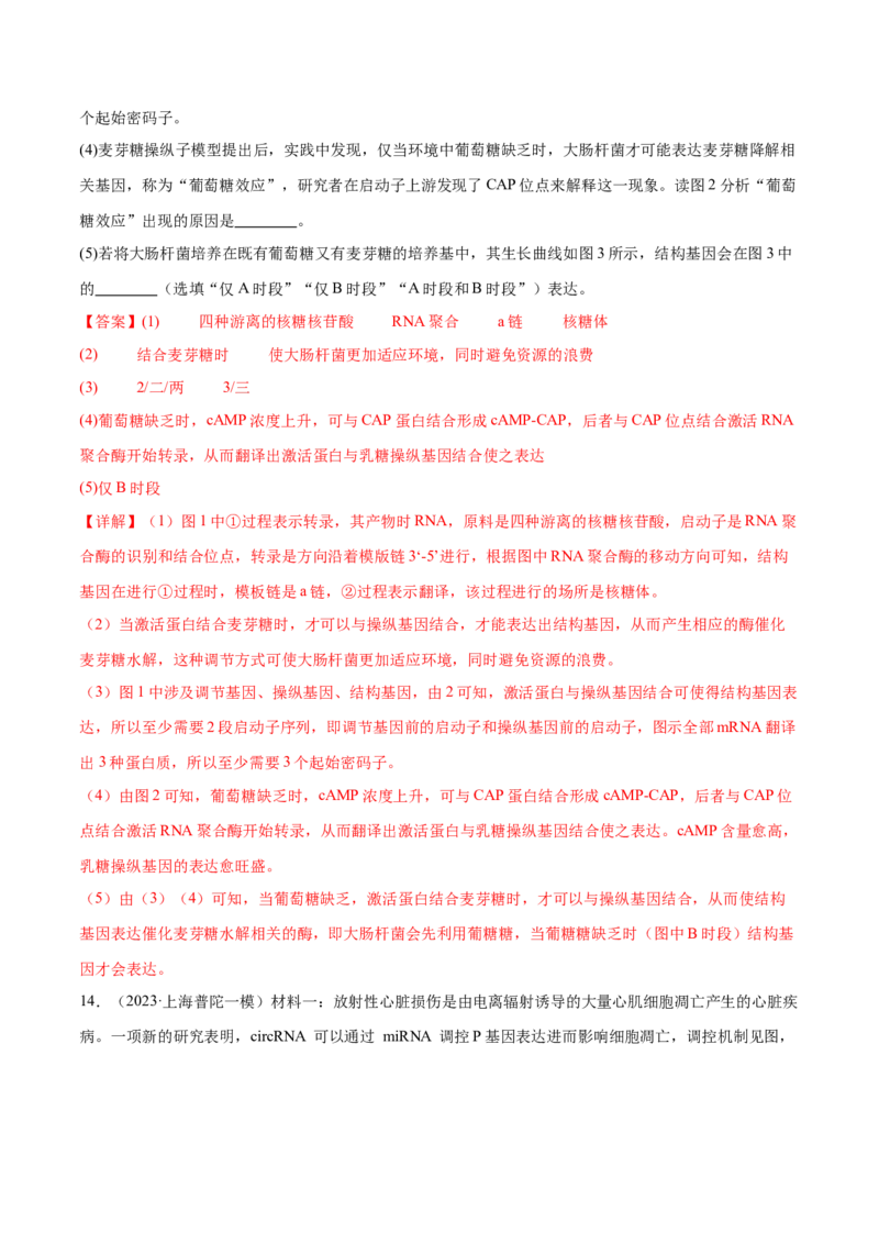 第09讲遗传的分子基础（练习）（解析版）_2024年新高考资料_2.2024二轮复习_2024年高考生物二轮复习讲练测（新教材新高考）