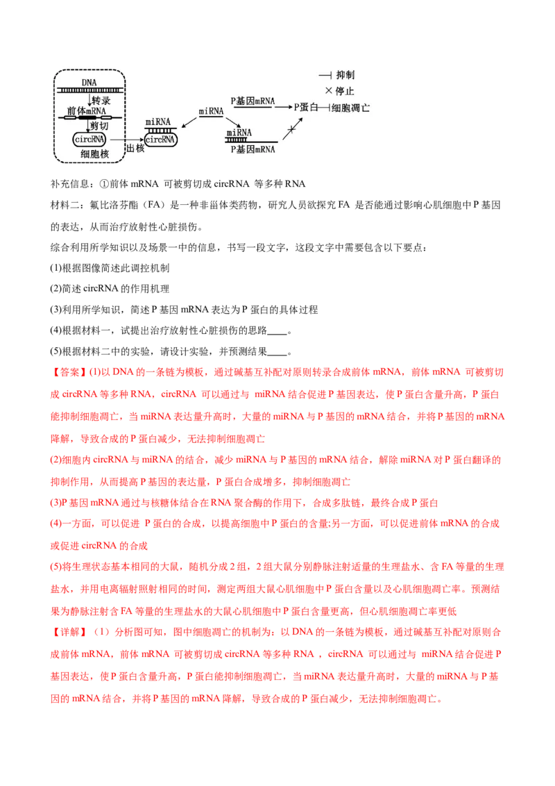 第09讲遗传的分子基础（练习）（解析版）_2024年新高考资料_2.2024二轮复习_2024年高考生物二轮复习讲练测（新教材新高考）