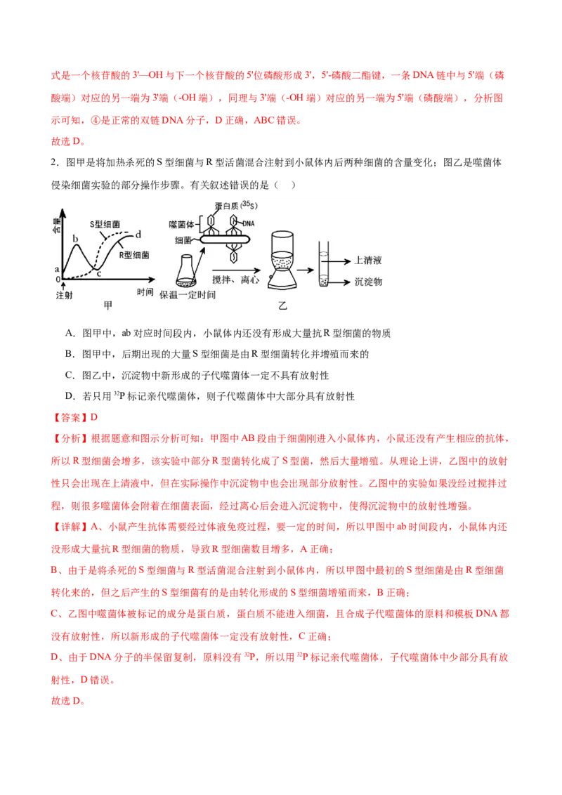 第09讲遗传的分子基础（练习）（解析版）_2024年新高考资料_2.2024二轮复习_2024年高考生物二轮复习讲练测（新教材新高考）