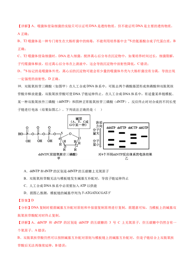 第09讲遗传的分子基础（练习）（解析版）_2024年新高考资料_2.2024二轮复习_2024年高考生物二轮复习讲练测（新教材新高考）