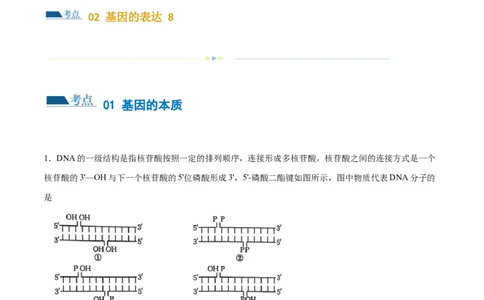 第09讲遗传的分子基础（练习）（解析版）_2024年新高考资料_2.2024二轮复习_2024年高考生物二轮复习讲练测（新教材新高考）