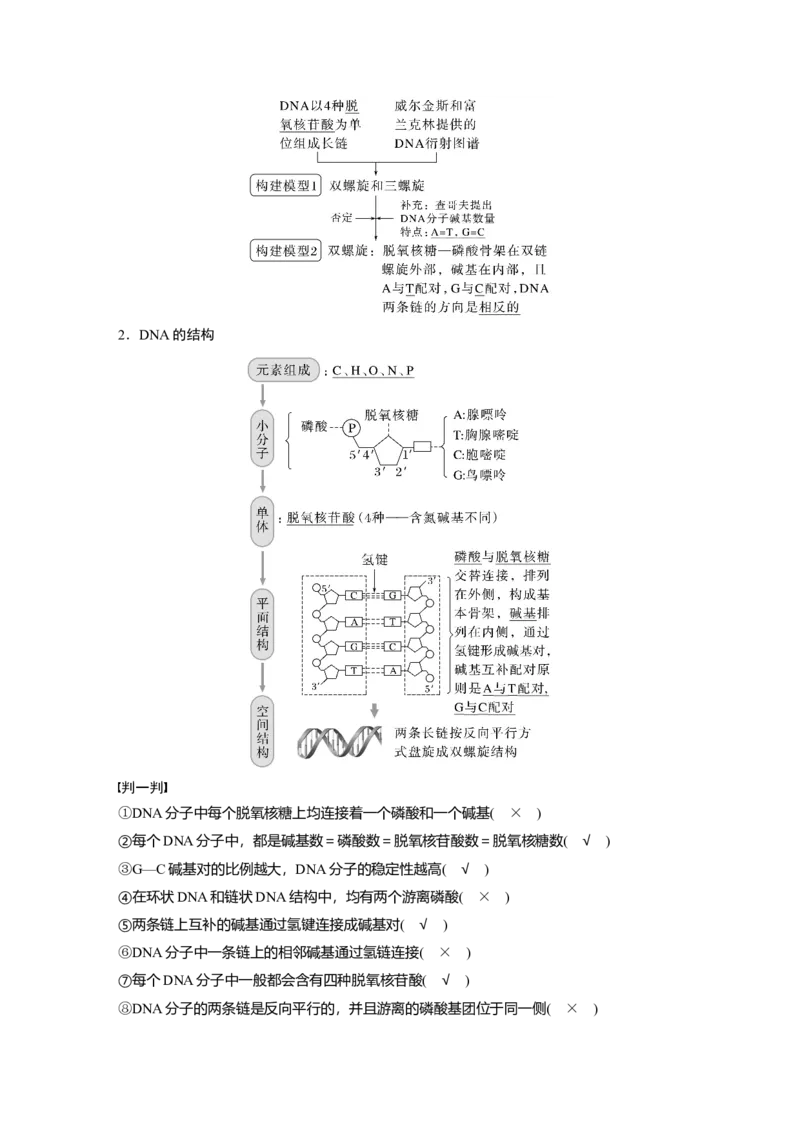 2023年高考生物一轮复习（新人教新高考）第6单元第2课时　DNA分子的结构及基因的概念_新高考复习资料_2023年新高考复习资料_一轮复习_2023年新高考大一轮复习讲义