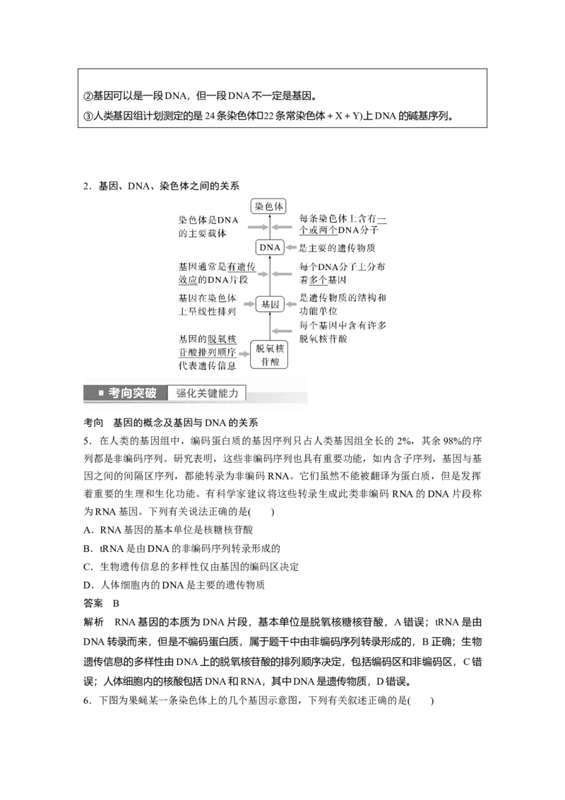 2023年高考生物一轮复习（新人教新高考）第6单元第2课时　DNA分子的结构及基因的概念_新高考复习资料_2023年新高考复习资料_一轮复习_2023年新高考大一轮复习讲义