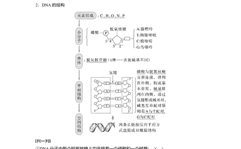 2023年高考生物一轮复习（新人教新高考）第6单元第2课时　DNA分子的结构及基因的概念_新高考复习资料_2023年新高考复习资料_一轮复习_2023年新高考大一轮复习讲义