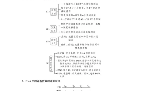 2023年高考生物一轮复习（新人教新高考）第6单元第2课时　DNA分子的结构及基因的概念_新高考复习资料_2023年新高考复习资料_一轮复习_2023年新高考大一轮复习讲义