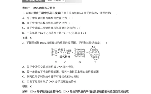 2023年高考生物一轮复习（新人教新高考）第6单元第2课时　DNA分子的结构及基因的概念_新高考复习资料_2023年新高考复习资料_一轮复习_2023年新高考大一轮复习讲义