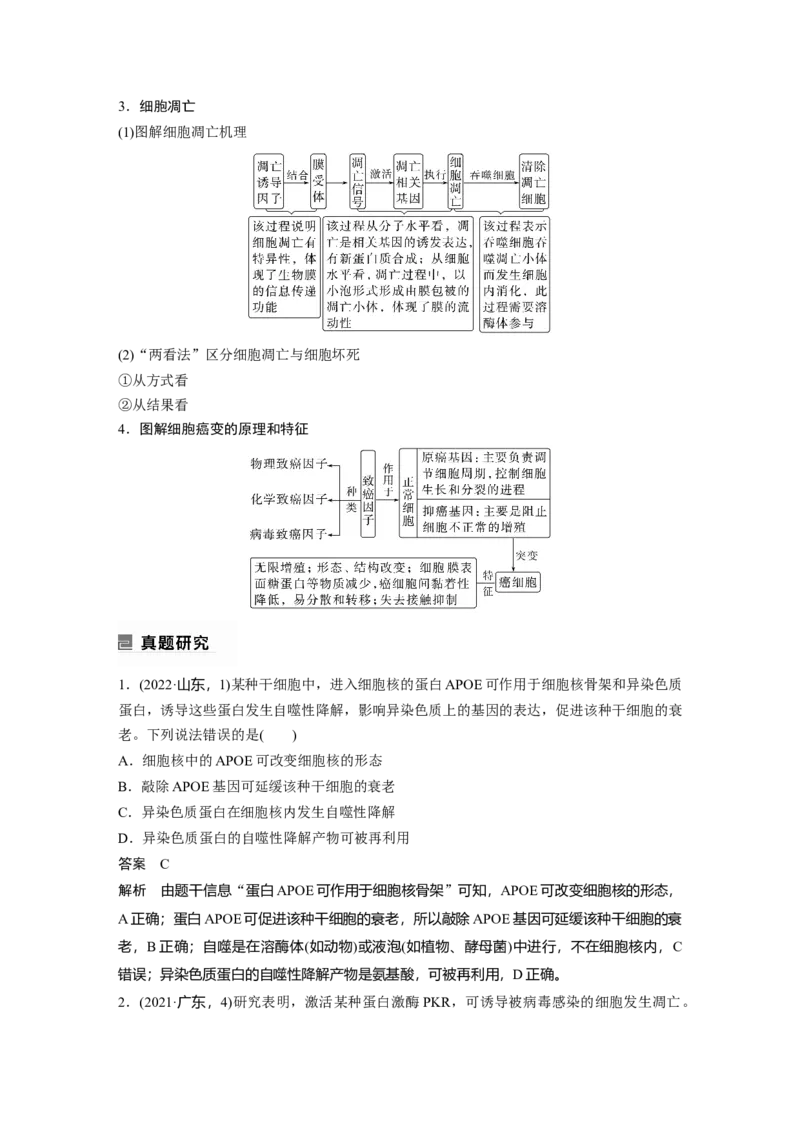 2023年高考生物二轮复习（全国版）第1篇专题突破专题3考点3　细胞的分化、衰老、凋亡和癌变_通用版（老高考）复习资料_2023年复习资料_二轮复习
