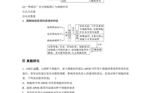2023年高考生物二轮复习（全国版）第1篇专题突破专题3考点3　细胞的分化、衰老、凋亡和癌变_通用版（老高考）复习资料_2023年复习资料_二轮复习
