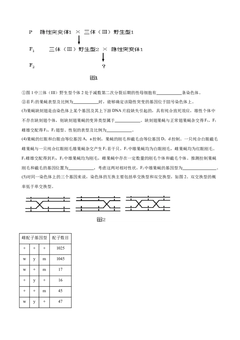 押江苏卷第22题遗传规律的应用（解析版）_2024年新高考资料_5.2024三轮冲刺_备战2024年高考生物临考题号押题（江苏专用）322855714