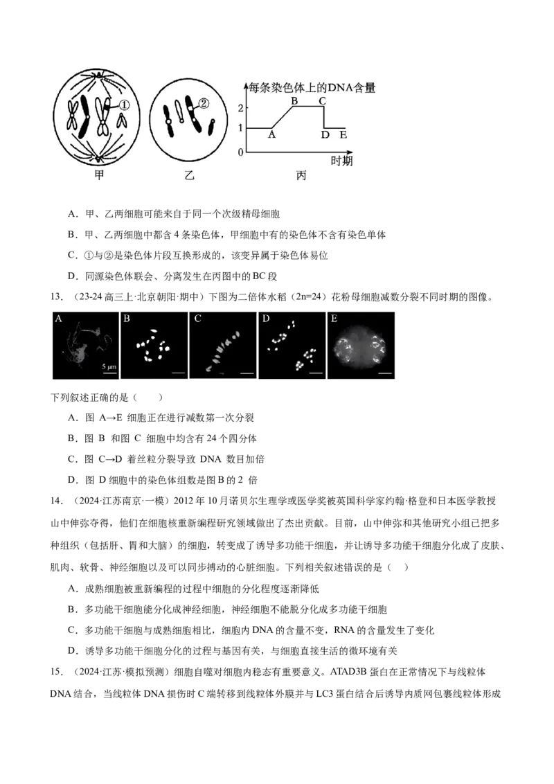 押江苏卷选择题细胞的生命历程（原卷版）_2024年新高考资料_5.2024三轮冲刺_备战2024年高考生物临考题号押题（江苏专用）322855714