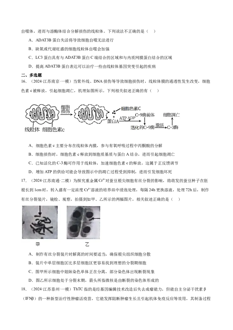 押江苏卷选择题细胞的生命历程（原卷版）_2024年新高考资料_5.2024三轮冲刺_备战2024年高考生物临考题号押题（江苏专用）322855714