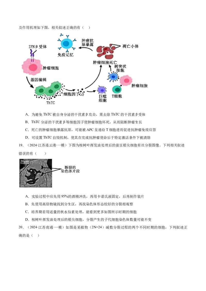 押江苏卷选择题细胞的生命历程（原卷版）_2024年新高考资料_5.2024三轮冲刺_备战2024年高考生物临考题号押题（江苏专用）322855714