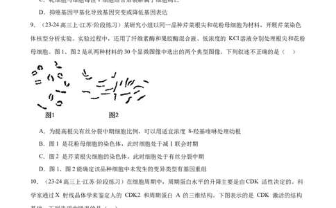 押江苏卷选择题细胞的生命历程（原卷版）_2024年新高考资料_5.2024三轮冲刺_备战2024年高考生物临考题号押题（江苏专用）322855714