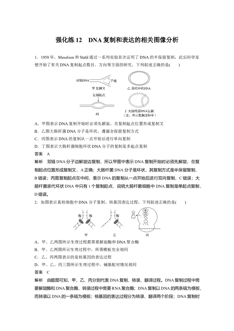 2022年高考生物一轮复习第6单元强化练12　DNA复制和表达的相关图像分析_新高考复习资料_2022年新高考复习资料_2022年一轮复习最新版_1.2022年高考生物一轮复习全国通用版
