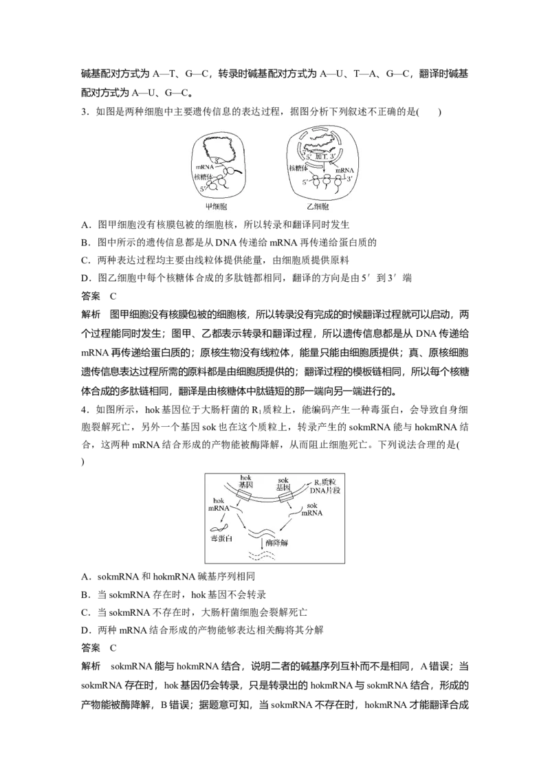 2022年高考生物一轮复习第6单元强化练12　DNA复制和表达的相关图像分析_新高考复习资料_2022年新高考复习资料_2022年一轮复习最新版_1.2022年高考生物一轮复习全国通用版