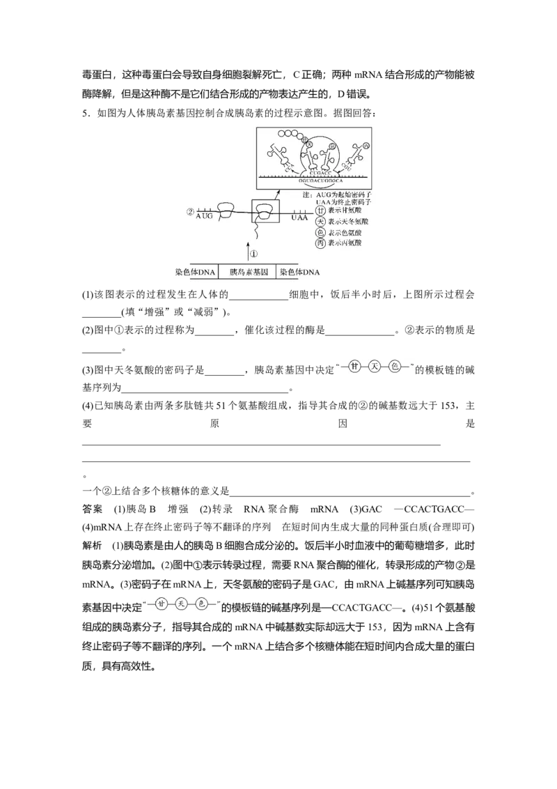 2022年高考生物一轮复习第6单元强化练12　DNA复制和表达的相关图像分析_新高考复习资料_2022年新高考复习资料_2022年一轮复习最新版_1.2022年高考生物一轮复习全国通用版