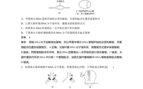 2022年高考生物一轮复习第6单元强化练12　DNA复制和表达的相关图像分析_新高考复习资料_2022年新高考复习资料_2022年一轮复习最新版_1.2022年高考生物一轮复习全国通用版
