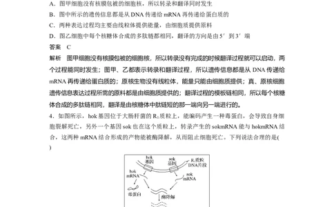 2022年高考生物一轮复习第6单元强化练12　DNA复制和表达的相关图像分析_新高考复习资料_2022年新高考复习资料_2022年一轮复习最新版_1.2022年高考生物一轮复习全国通用版