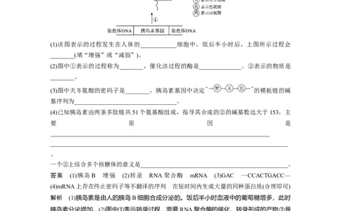 2022年高考生物一轮复习第6单元强化练12　DNA复制和表达的相关图像分析_新高考复习资料_2022年新高考复习资料_2022年一轮复习最新版_1.2022年高考生物一轮复习全国通用版